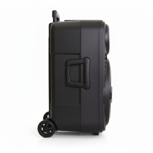 Trimex BT-04 20W Bluetooth Trolley Speaker – 8" Woofer, FM Radio, USB/AUX, Rechargeable - side view